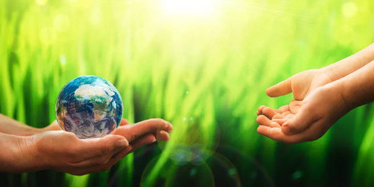 How to Embrace an Eco-Friendly Lifestyle