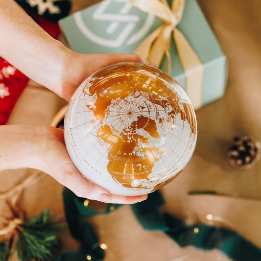 Which MOVA Globe Should You Buy?