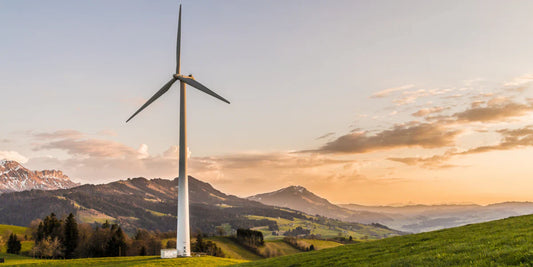 The 4 Biggest Eco-Trends