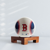 MLB® CUBS™ GLOBE ( Region Limit)  - MOVA EU