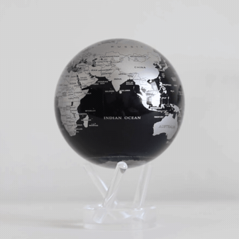 GLOBE NOIR ET ARGENT
