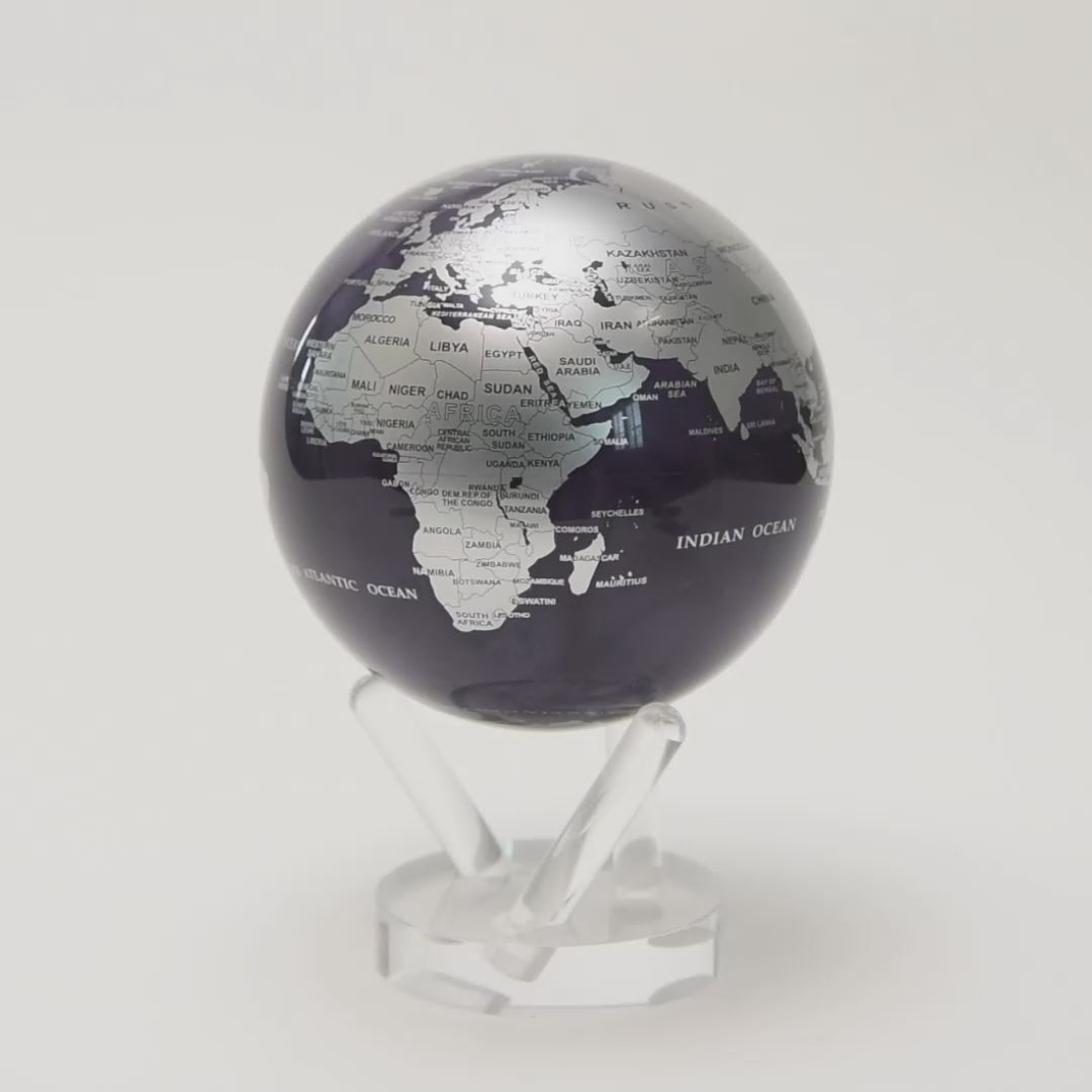 PURPLE &amp; SILVER GLOBE